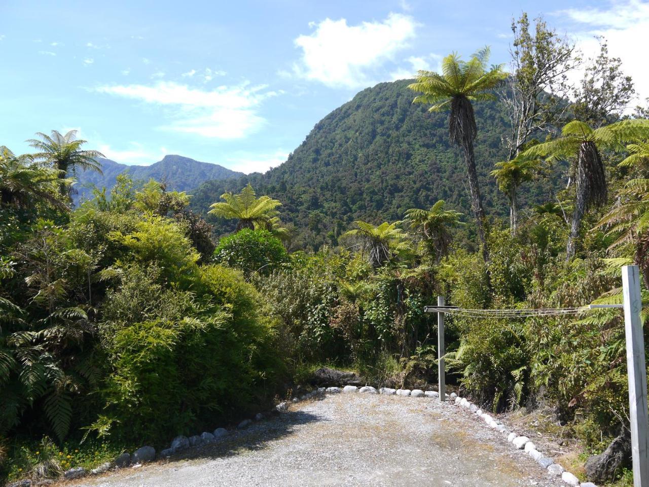 Franz Josef Treetops Exterior foto